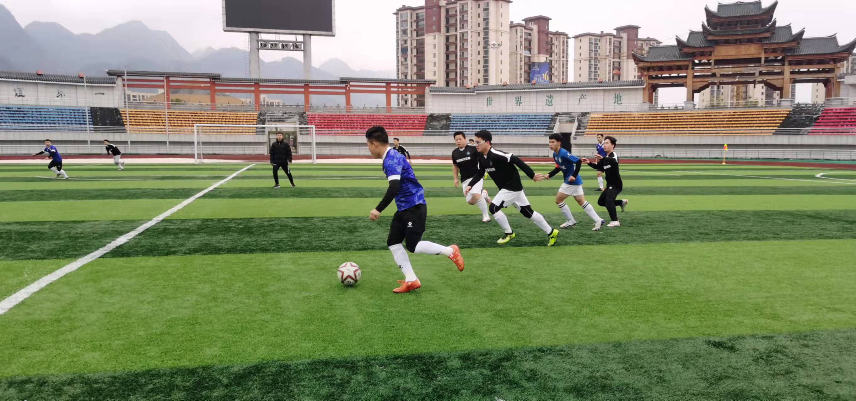 的恢复计划 的恢复计划