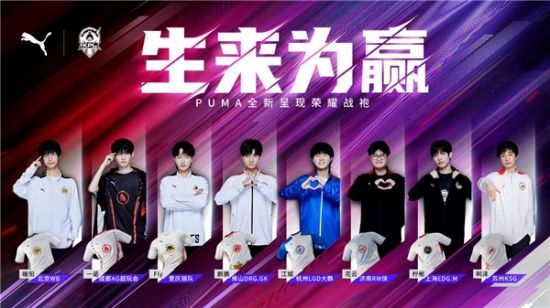 舍夫勒在R 舍夫勒在R